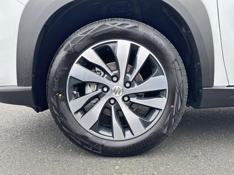 suzuki - Visuel 6